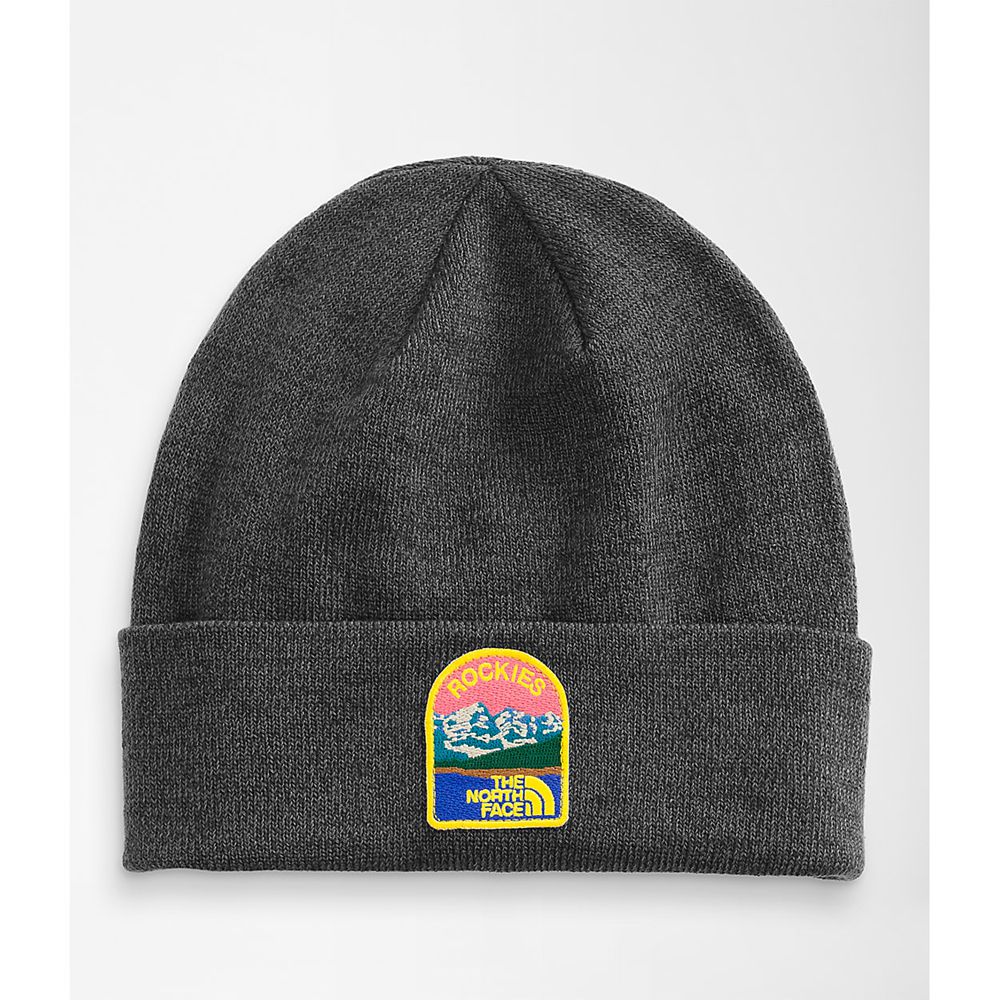 The North Face Caps Womens Australia - The North Face Embroidered Earthscape Dark Grey (JHD-068591)